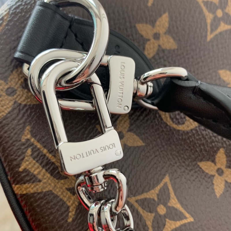 LV Speedy Bags
